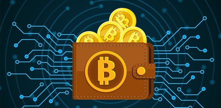 Lost Crypto Wallet Password Recovery